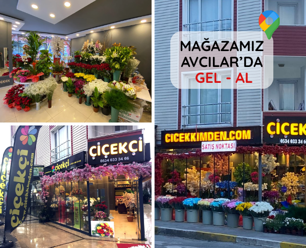 iletisim